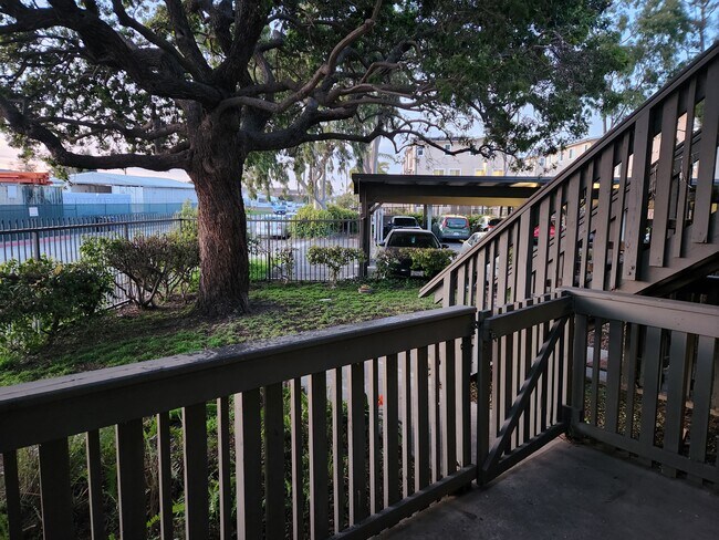 Patio - 23300 Marigold Ave