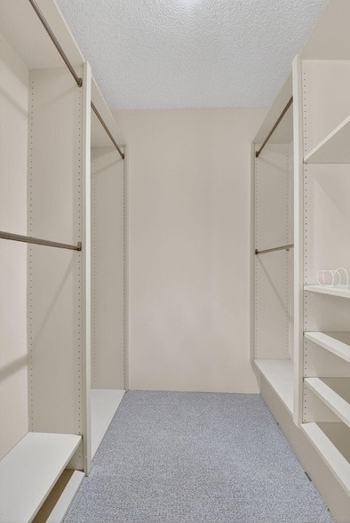 Building Photo - 413 Buttonwood Ln