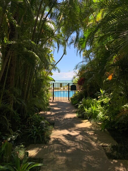 Lush foliage as you enter the pool - 4999 Kahala Ave