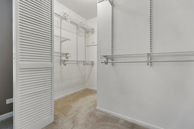 Building Photo - 817 Wellington Ave