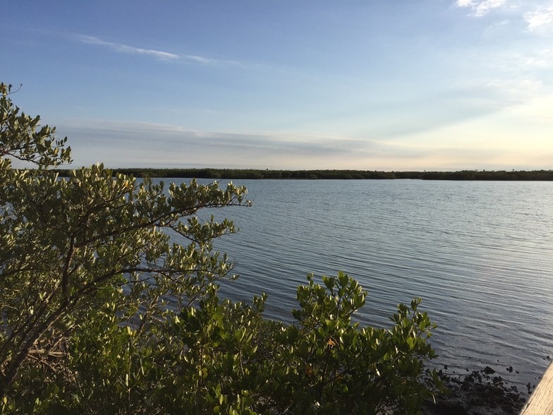 scenery at Pier - 3800 Saxon Dr
