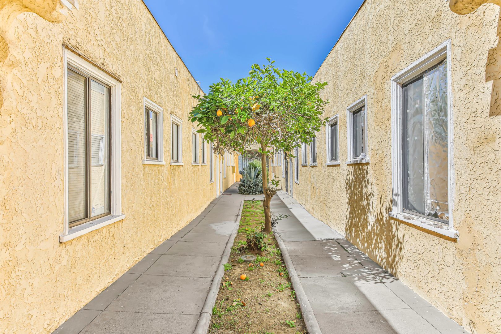 Building Photo - 1074 Obispo Ave