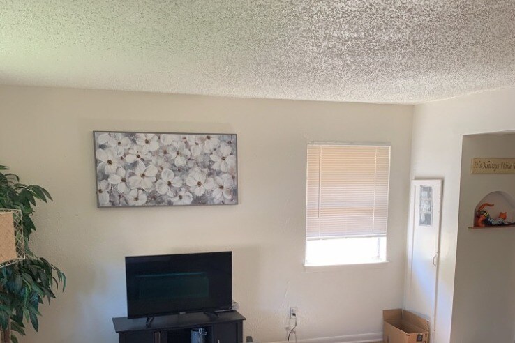 Living area - 5102 Bell St