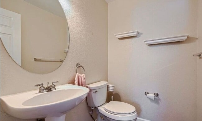 Building Photo - Beautiful Newly Remodeled Home in Roxborough Park