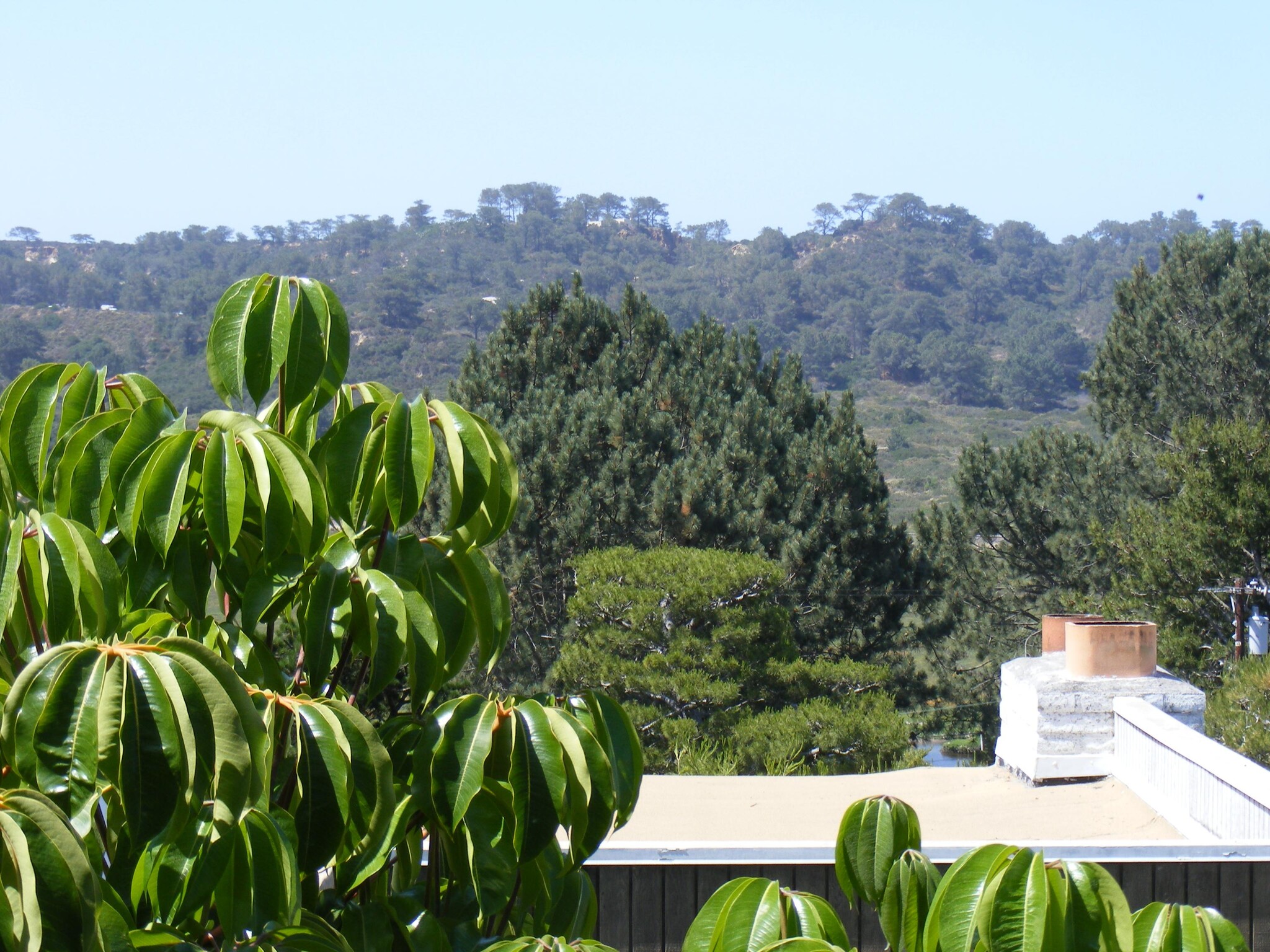 View of Torrey Pines Park - 2557 Via Merano