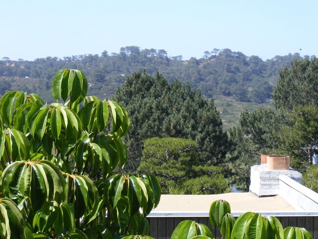 View of Torrey Pines Park - 2557 Via Merano