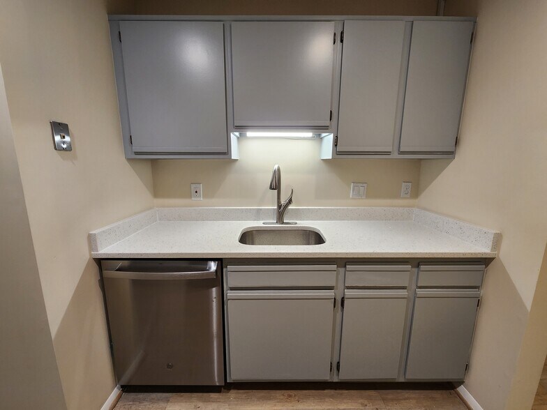 Brand-new countertops, sink, and dishwasher - 7908 Pearlbush Dr