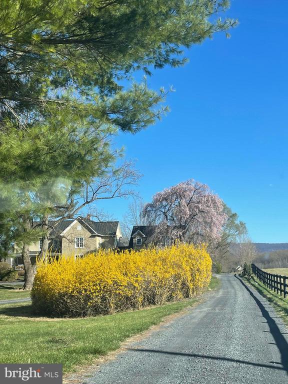 Building Photo - 1654 Milldale Rd