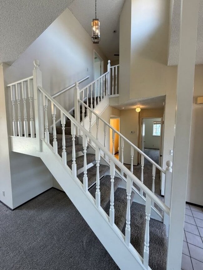 Building Photo - 1003 Blackspur Ct