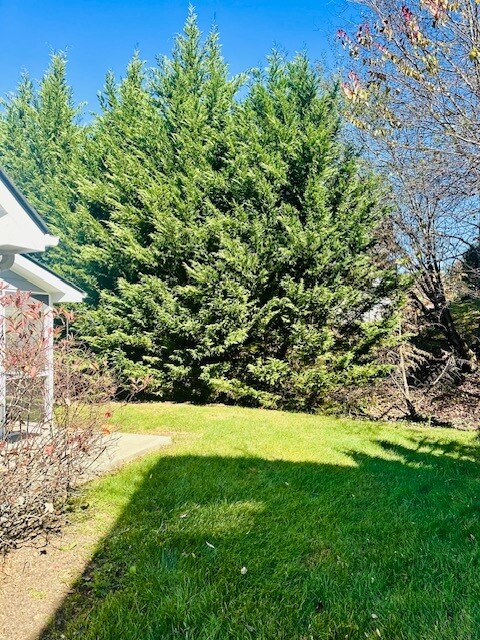 Building Photo - 50 Grove End Rd