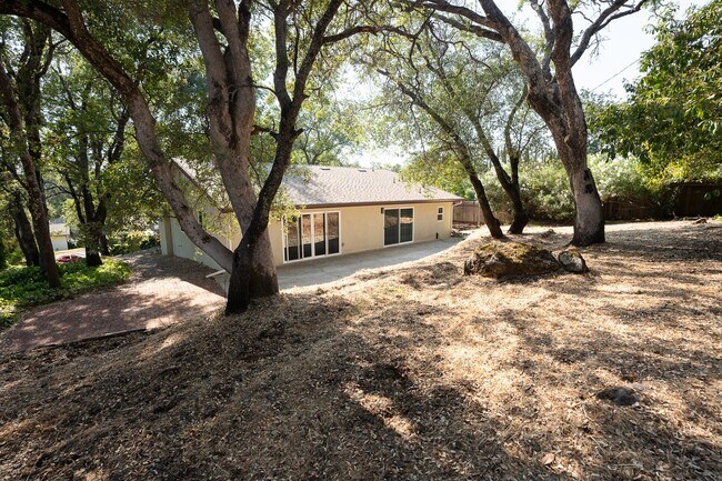 Building Photo - Beautiful Cameron Park New Build!