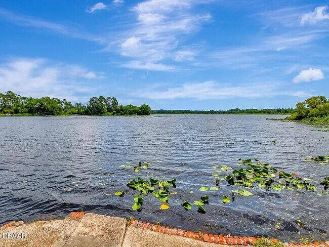 Building Photo - Bluelake