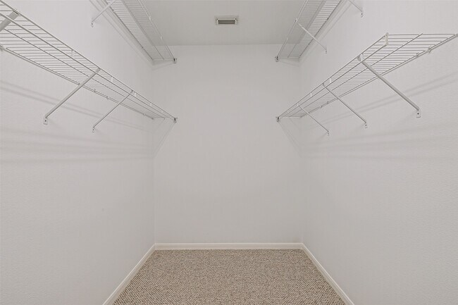 Building Photo - 9718 Catalina Leaf Ln