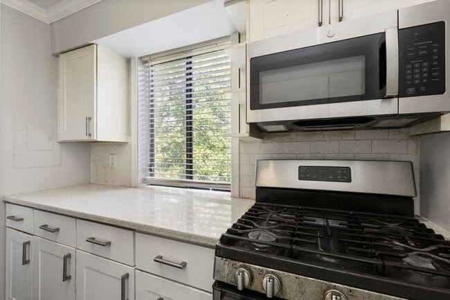 Building Photo - Upgraded 2 Bed on Galveston Street SW!  Ap...