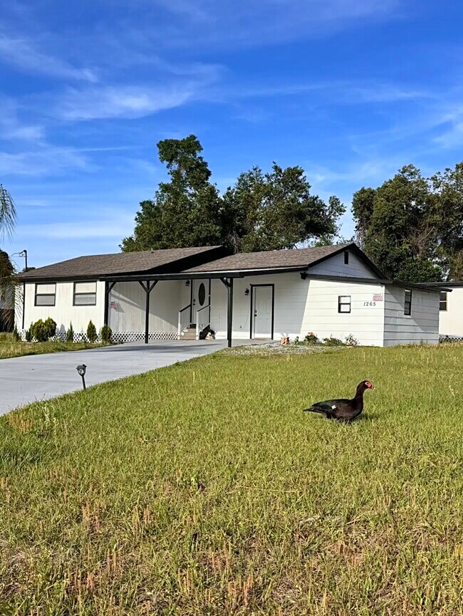 Building Photo - 1265 Aquarius Ave