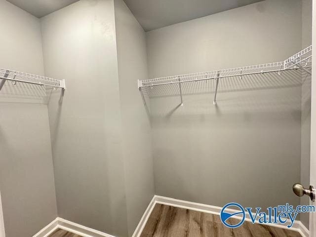 Building Photo - 342 Angela St