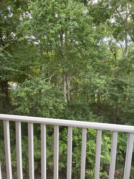 Forest View - 4854 Meadowsweet Dr