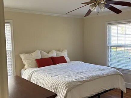 Master bedroom downstairs - 207 Edgedale Dr