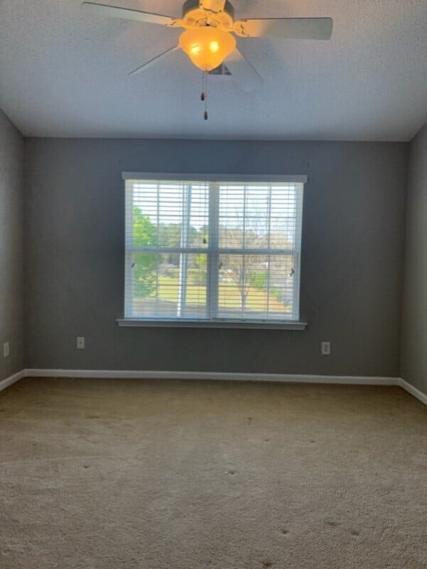 Building Photo - 310 Irvine Ct