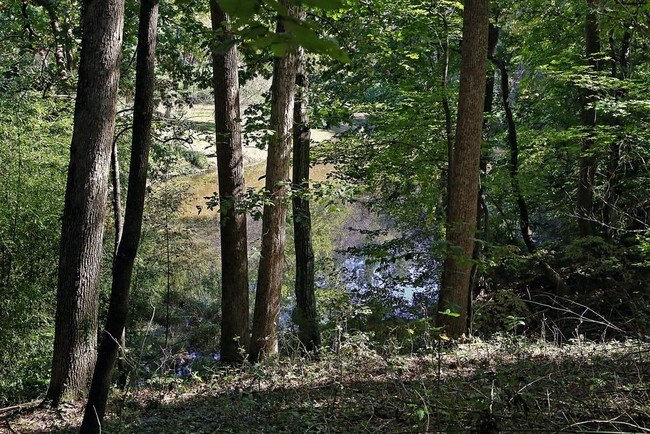 Building Photo - 914 Crestwood Ln