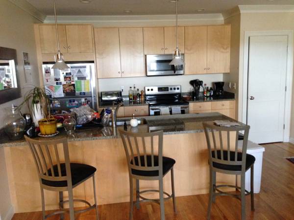 Kitchen - 156 Green St