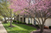 Building Photo - Chesterfield Place Apartments