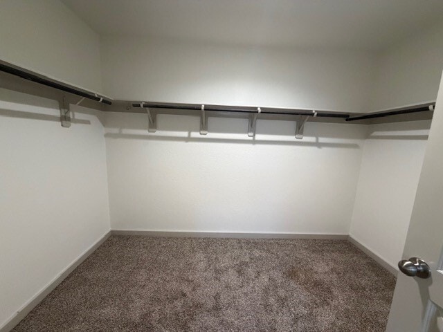 Building Photo - 8107 Precious Passing Way