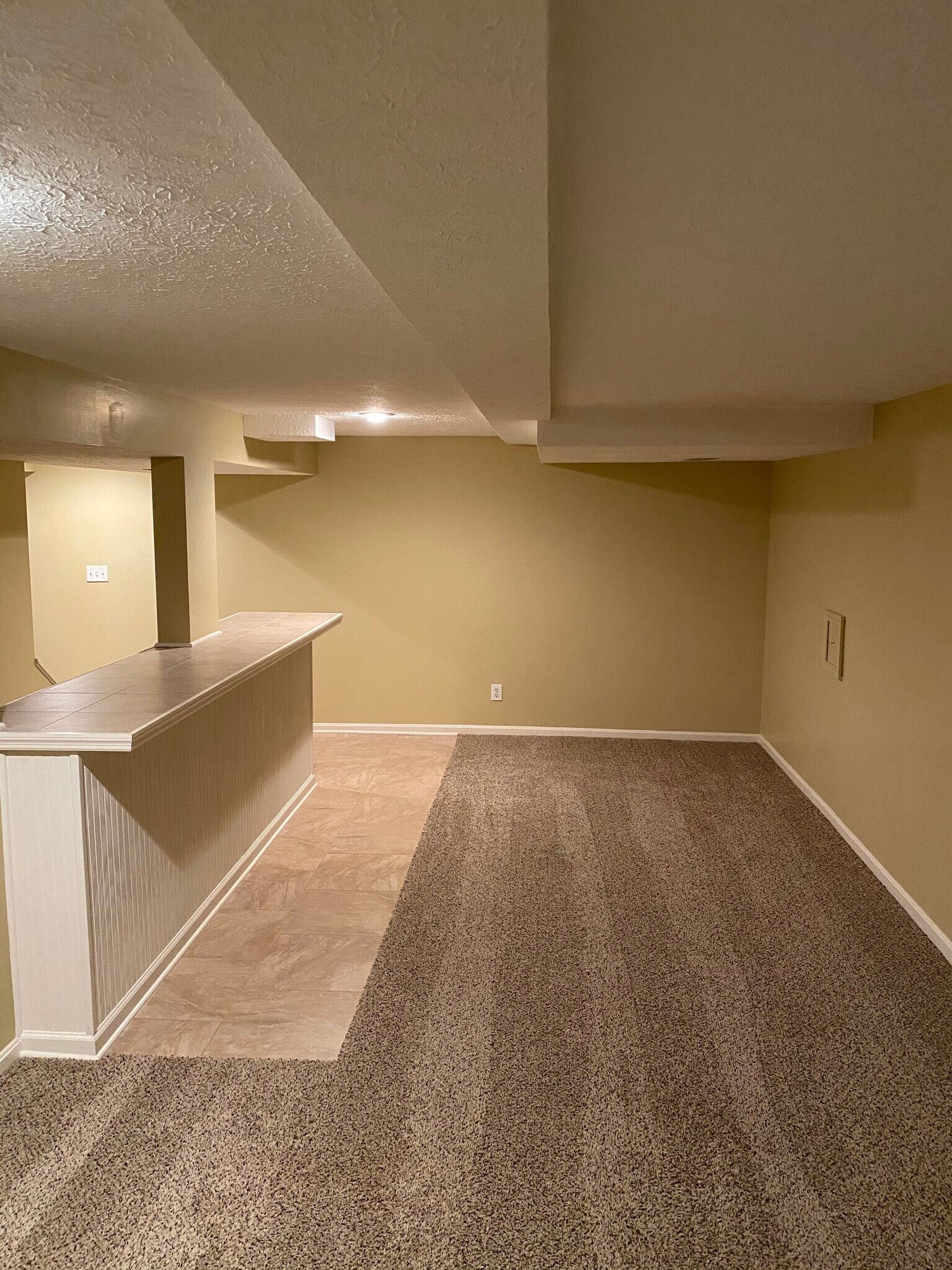 Basement - 11700 Robindale Rd