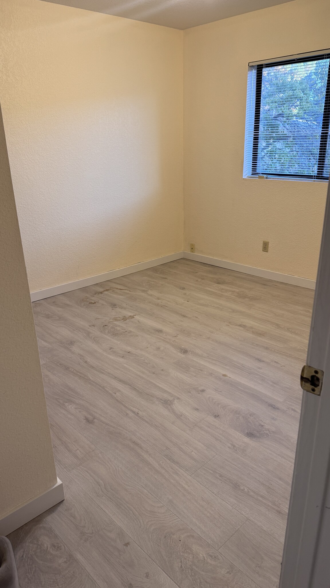 Building Photo - 160 Sugarloaf St