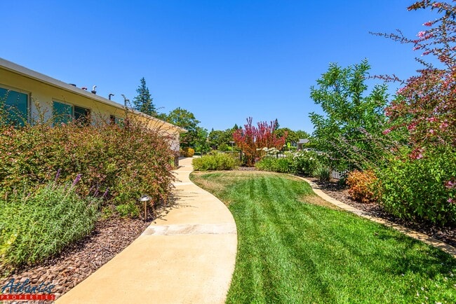 Building Photo - Stunning & Remodeled Home | Desirable Sara...