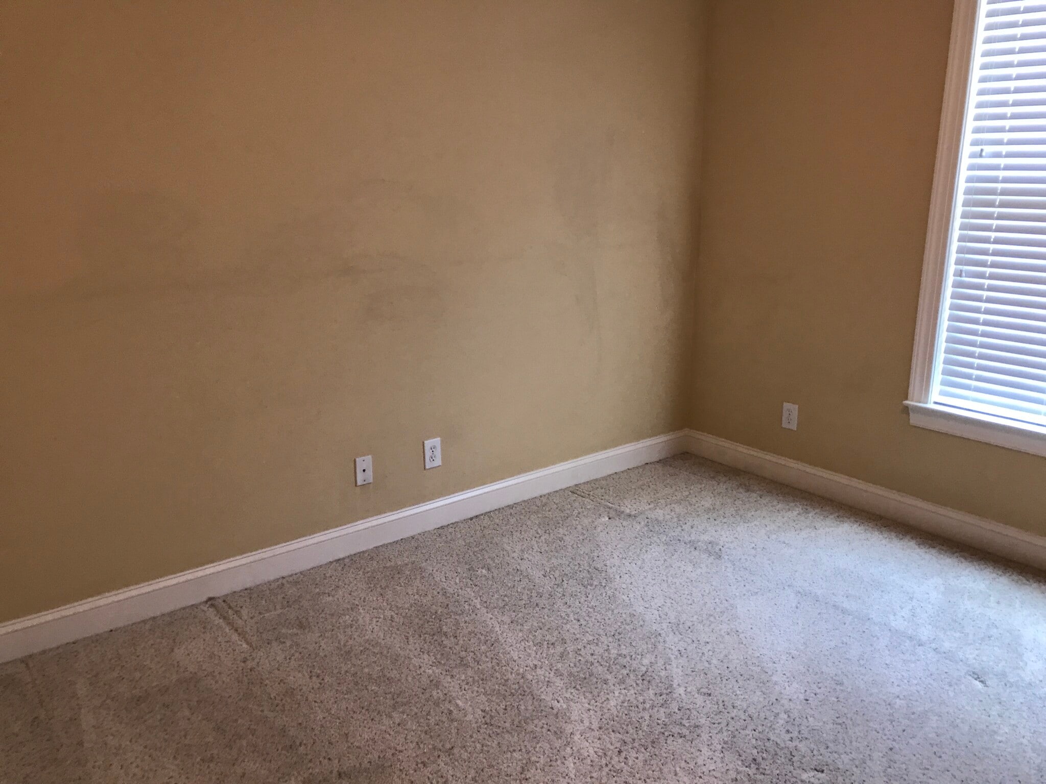 3rd bedroom - 1931 Dante Ln