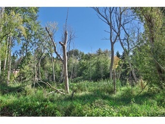 Undeveloped Wetlands Across Street from Building - 10501 8th Ave NE