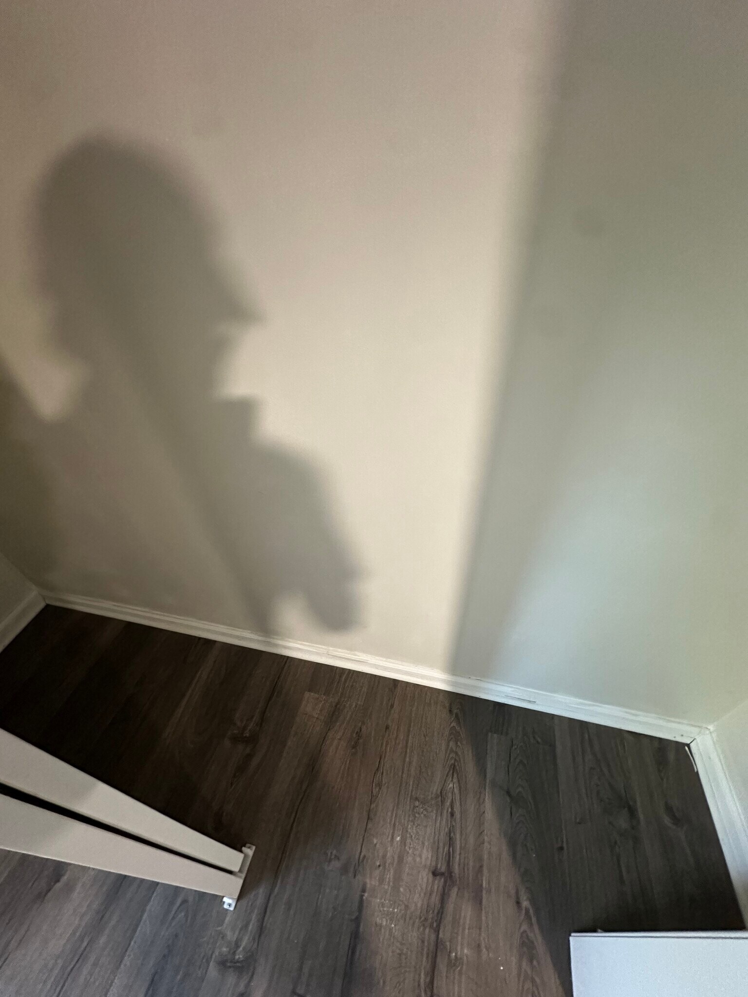 Building Photo - 565 Hunter Ave