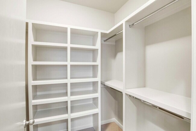 Building Photo - 3413 Charlotte Rose Drive