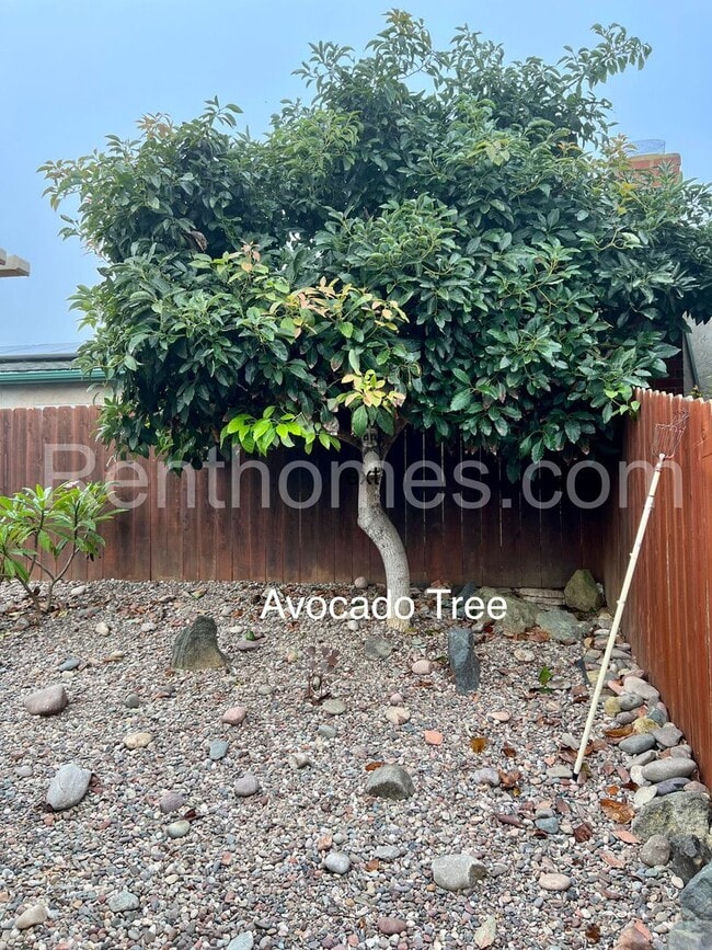 Building Photo - 4544 Jutland Dr