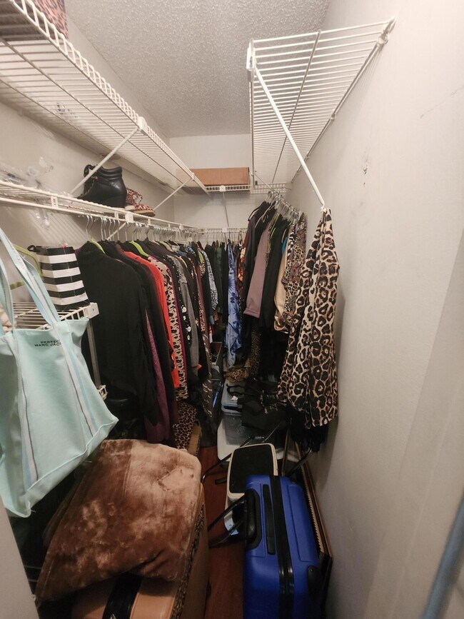 Building Photo - 113 Mansfield C