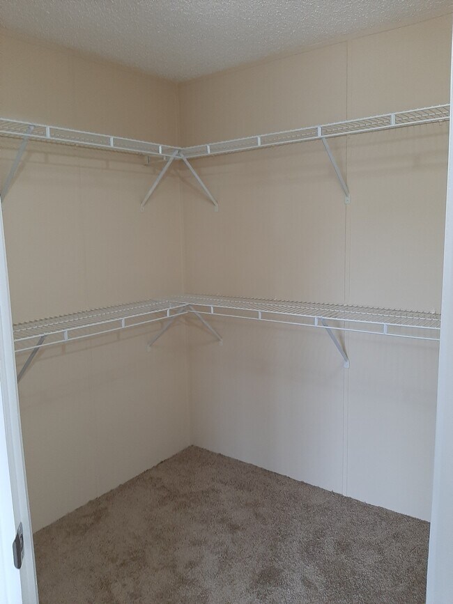 Building Photo - 5767 Deauville Cir