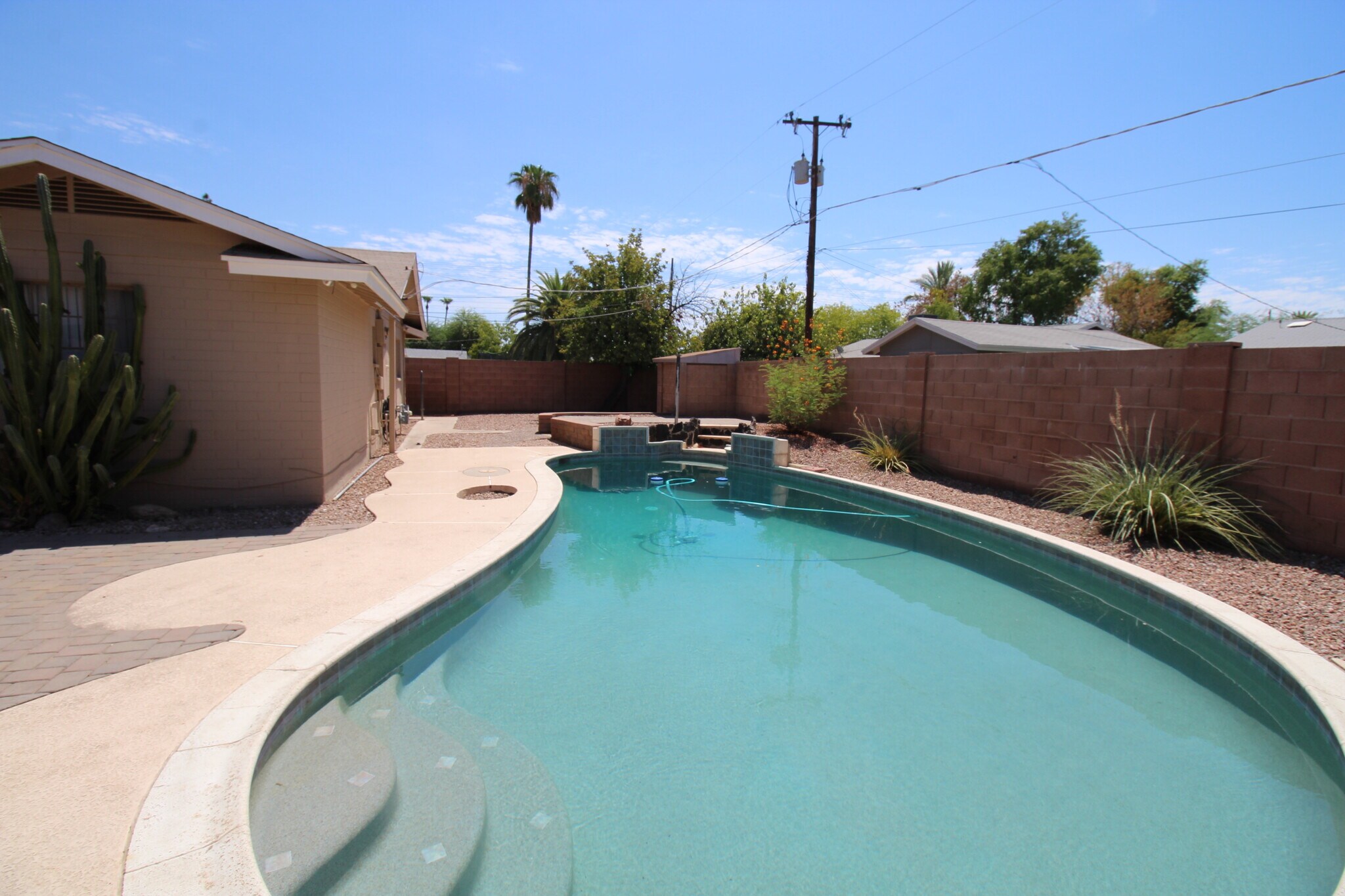 Back Yard - Pool - 735 E Granada Dr