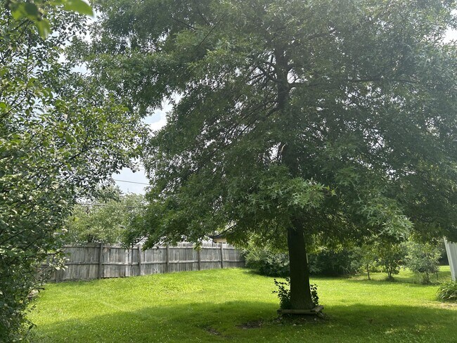 Building Photo - 1117 Kay Pkwy