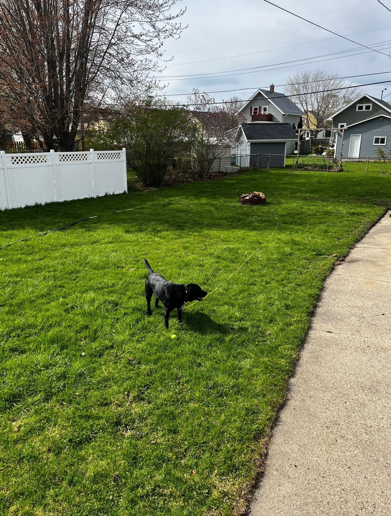 Building Photo - 257 Ledgeview Ave