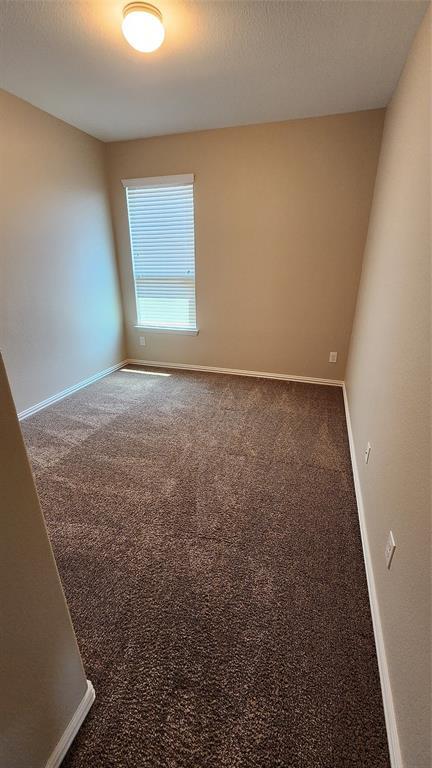 Building Photo - 18428 Blush Rose Rd