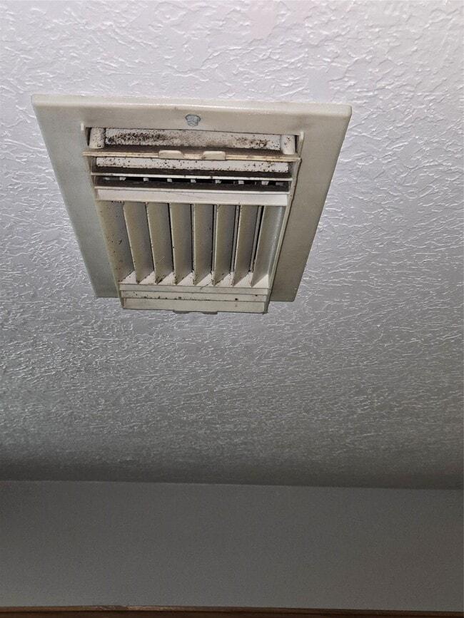 Building Photo - 938 Birnham Woods Blvd