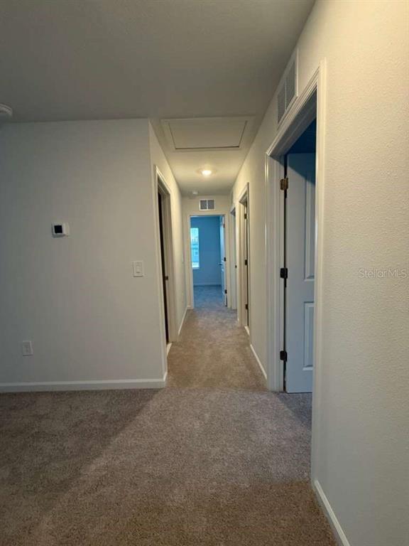 Building Photo - 3367 Alexander Dr