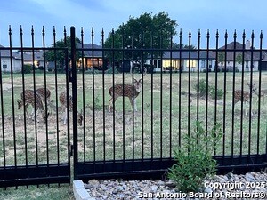 Building Photo - 7938 Cibolo View