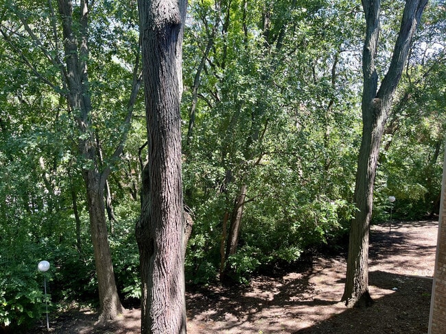 Building Photo - 5817 Oakwood Dr