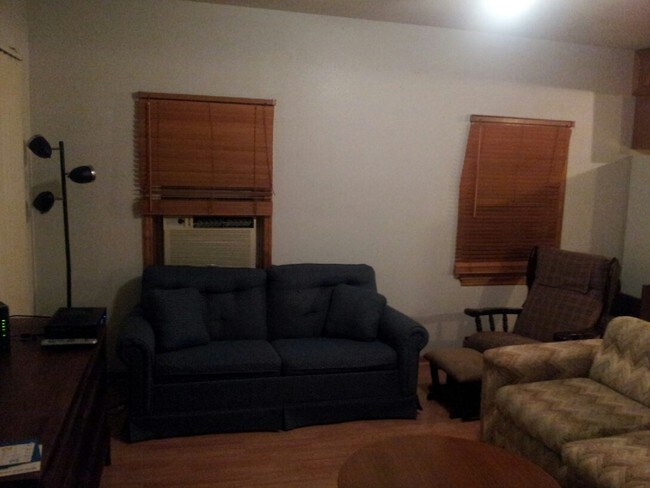 2 Couches. 1 is fold out. - 1131 Green St