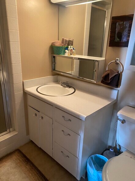 master bath, shower - 1148 Herbert Ave