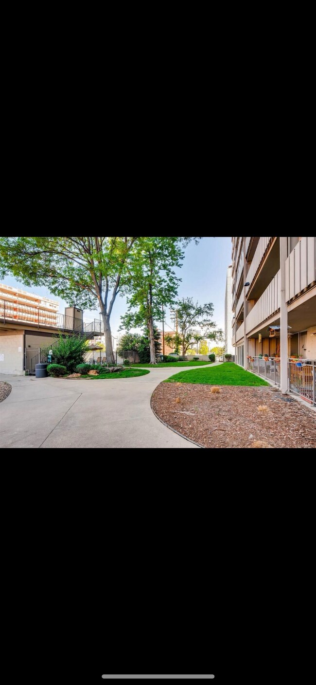 Building Photo - 1111 Ash St