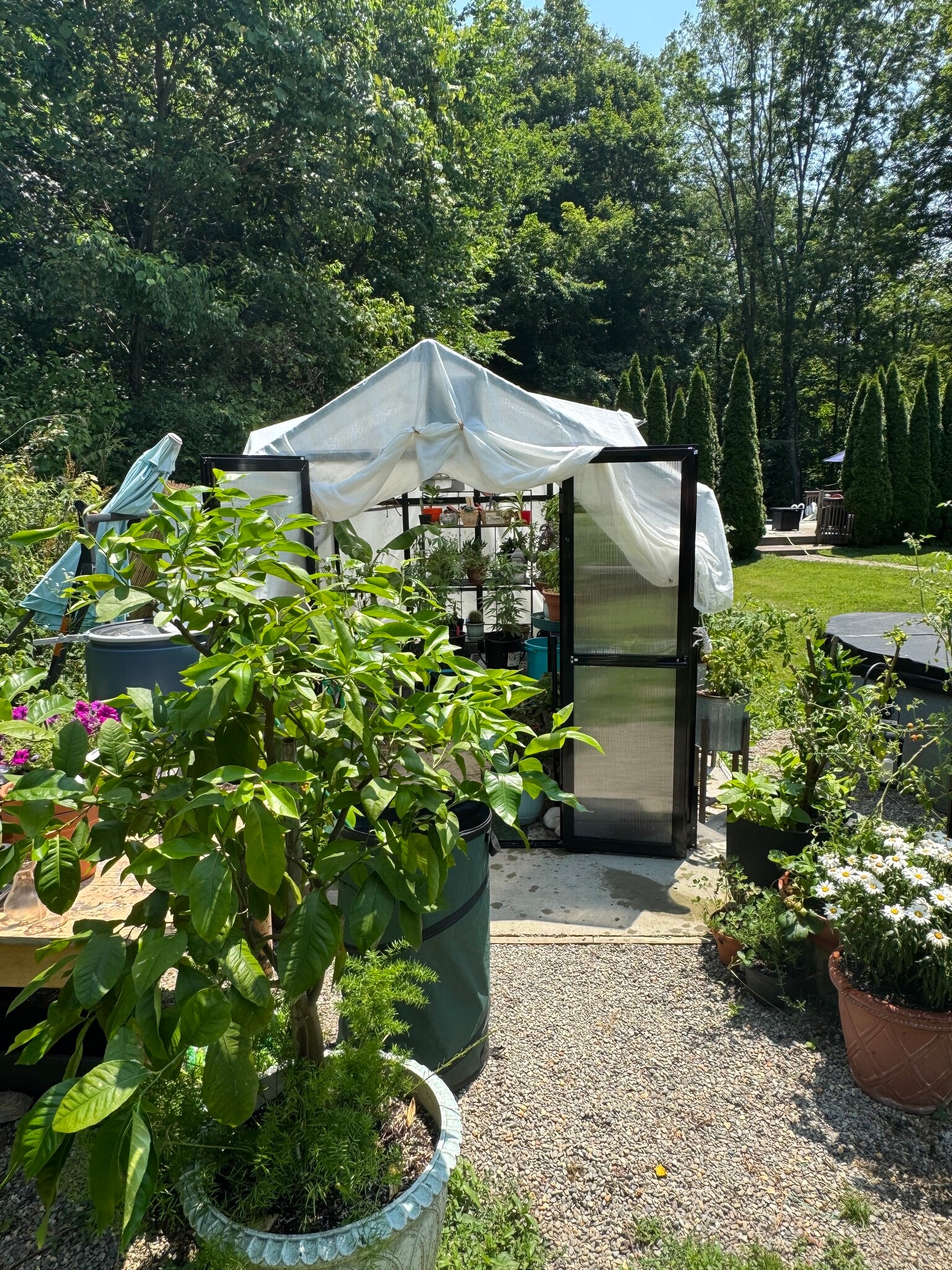 Building Photo - 81 Wiese Albert Rd