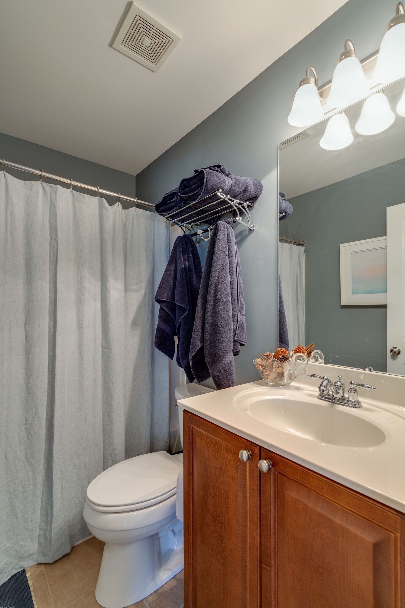 Hall bath on 2nd floor. - 7752 Porter House Dr